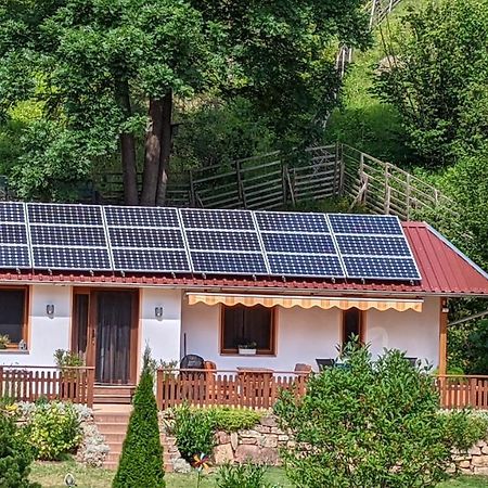 Ferienhaus Manoury Am Klosterbrunnen Waldeck  Dış mekan fotoğraf