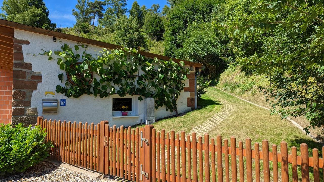Ferienhaus Manoury Am Klosterbrunnen Waldeck  Dış mekan fotoğraf